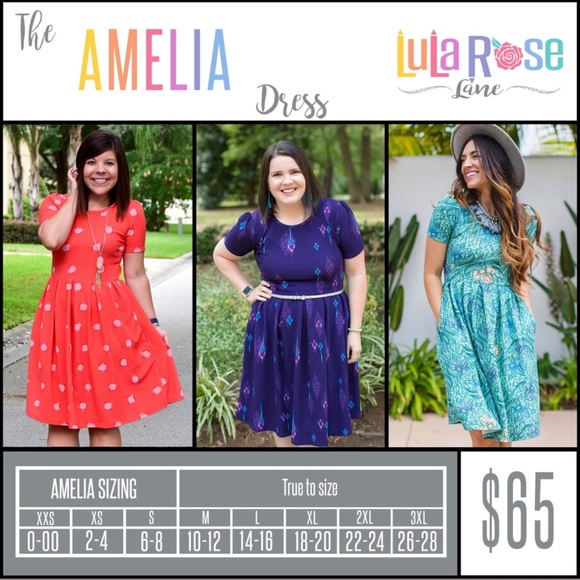 Rare LuLaRoe 👗 Amelia Dress sz M 10-12 Blue Floral Rose Zip A-Line Pockets 🦄 - Picture 3 of 6